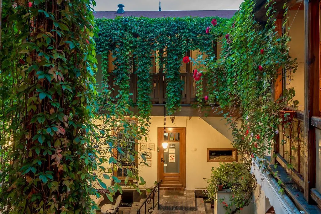 Villa Petra-1