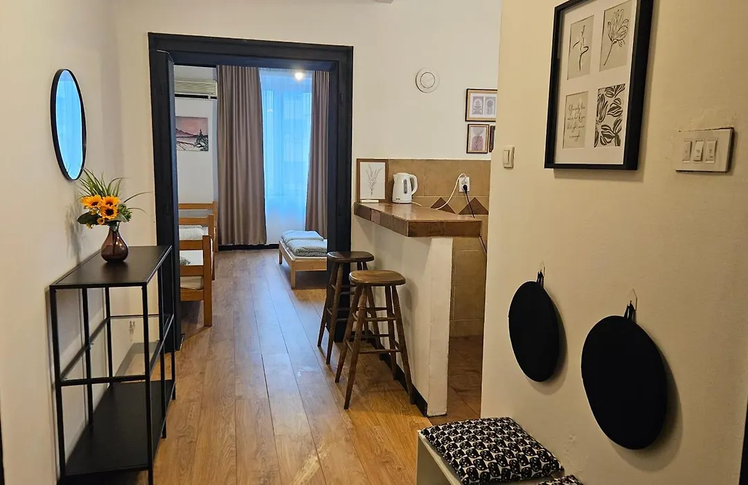 Downtown Belgrade Hostel And Apartments-1