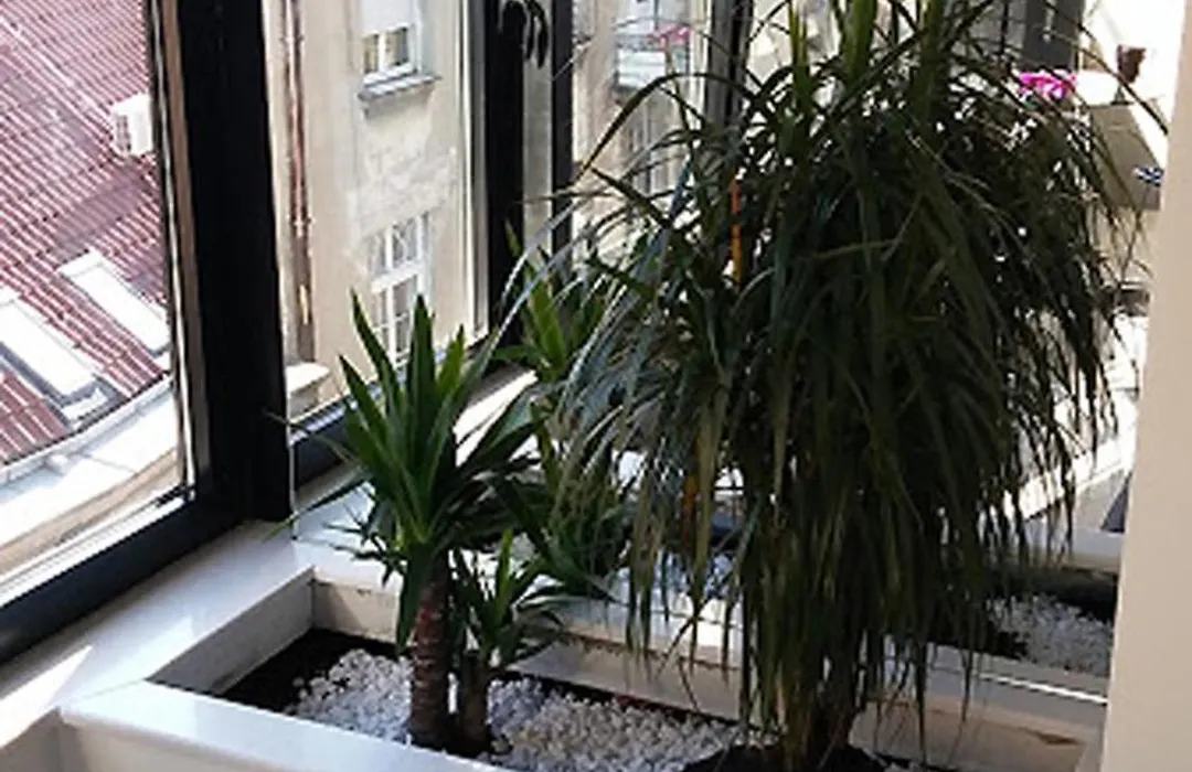 Apartment Savamala Art-1
