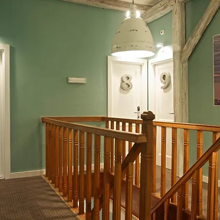 Smokvica Vracar B&B-3