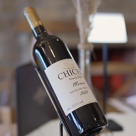 Garni Hotel Chicha - Winery Skrbic-3