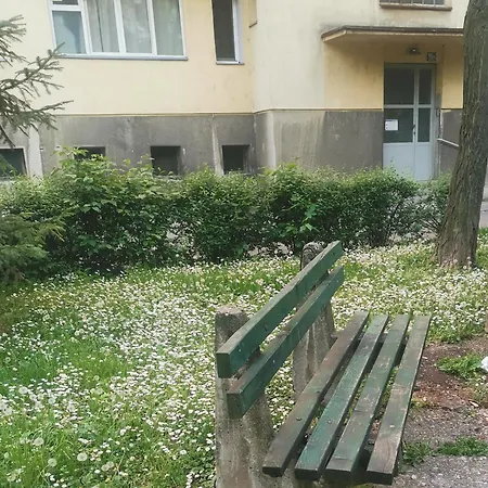 Stadion Apartman-3