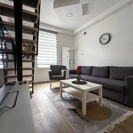 Cute Little Apartment-2