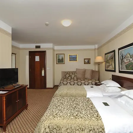 Hotel Zlatnik-2