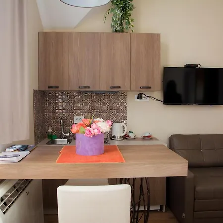 Apartments Srbija - Free Parking-3